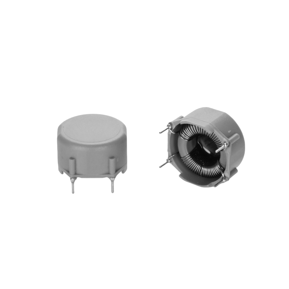 Encapsulated Common Mode Chokes / Filters 2X2.7MH 4A